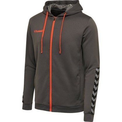 Veste Hmlauthentic hoodie Hummel | gris/orange