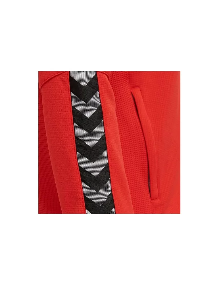 Veste Hmlauthentic hoodie Hummel | rouge