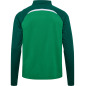 Sweat 1/4 Zip HMLLead 2.0 Hummel Vert Jr