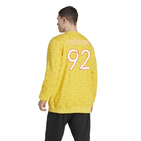 Sweat Gardien Équipe de France Handball Adidas Jaune R. Desbonnet | Le spécialiste handball espace-handball.com