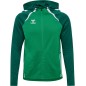 Veste à capuche HMLLead 2.0 Hummel Vert | Le spécialiste handball espace-handball.com