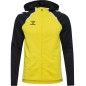 Veste à capuche HMLLead 2.0 Hummel Jaune  Jr | Le spécialiste handball espace-handball.com