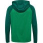 Veste à capuche HMLLead 2.0 Hummel Vert