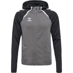Veste à capuche HMLLead 2.0 Hummel Gris Jr - Espace-Handball.com