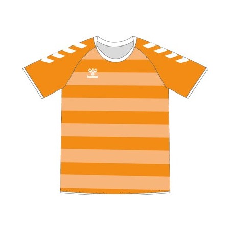 Lot de 12 Ensembles Handball Sublimés Hummel