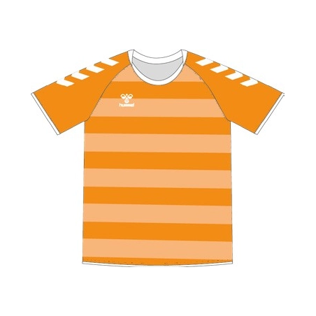 Lot de 12 Ensembles Handball Sublimés Hummel