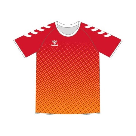 Lot de 12 Ensembles Handball Sublimés Hummel