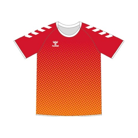 Lot de 12 Ensembles Handball Sublimés Hummel