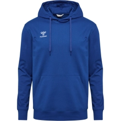 Sweat HMLGO 2.0 à capuche Hummel Bleu Roy Jr - Espace-Handball.com