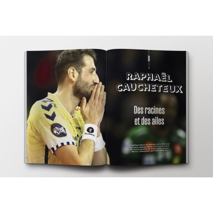 LNH – Le livre des 20 ans (132 pages) - Espace-Handball.com