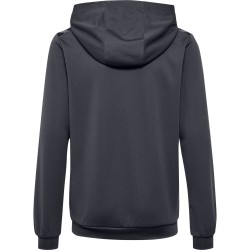 Sweat à capuche HMLAuthentic Hummel gris foncé