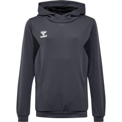 Sweat à capuche HMLAuthentic Hummel gris foncé - Espace-Handball.com