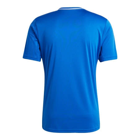 Maillot CAMPEON 25 Adidas Bleu Roy