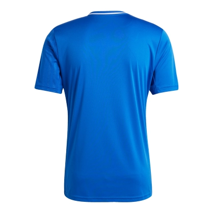 Maillot CAMPEON 25 Adidas Bleu Roy - Espace-Handball.com