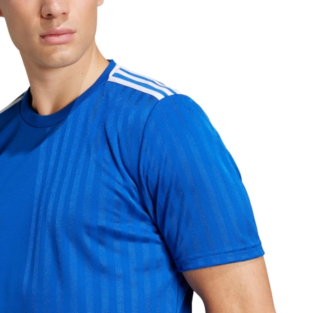 Maillot CAMPEON 25 Adidas Bleu Roy