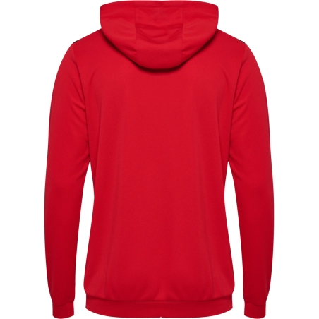 Sweat à capuche HMLAuthentic Hummel rouge