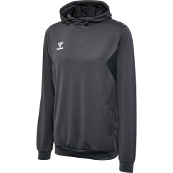 Sweat à capuche HMLAuthentic Hummel gris foncé junior - Espace-Handball.com