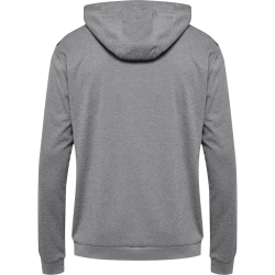 Sweat à capuche HMLAuthentic Hummel gris junior - Espace-Handball.com